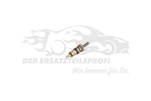 Dichtring für Servoleitung
