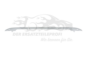 9816803880 Zier-/Schutzleiste, Stoßfänger Peugeot