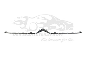 9816978180 Zier-/Schutzleiste, Kühlergitter Citroen