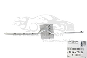 Zier- Schutzleiste für Kühlergitter Citroen 9816978180