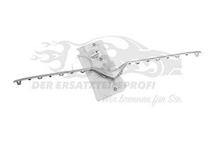 Zier- Schutzleiste für Kühlergitter Citroen 9822039780