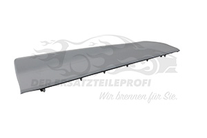 2238041 Zier-/Schutzleiste, Tür Ford
