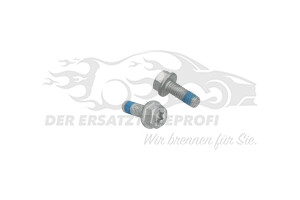 410603407R Bremsbeläge vorne 