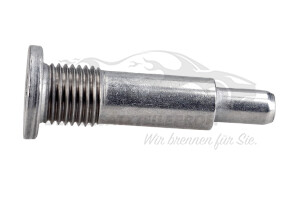 082027 Schraube für Steuerketten-Gleitschiene (M14) Citroen