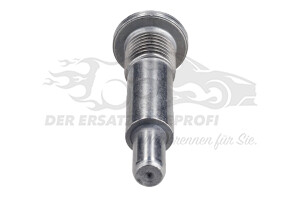 082027 Schraube für Steuerketten-Gleitschiene (M14) Citroen