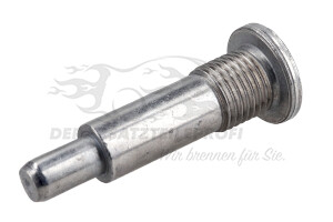 082027 Schraube für Steuerketten-Gleitschiene (M14) Citroen