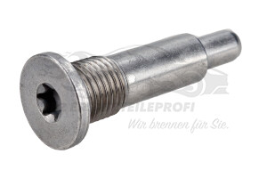 082027 Schraube für Steuerketten-Gleitschiene (M14) Citroen