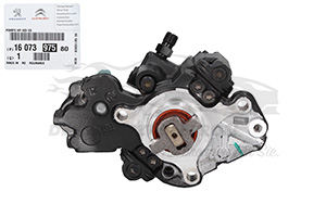 Kraftstoffpumpe Citroen 1671544680