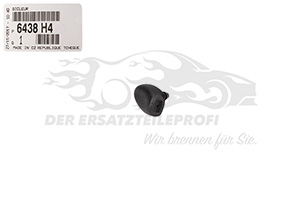 Scheibenwaschdüse Peugeot 6438H4