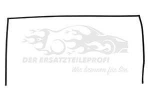 Zier- Schutzleiste für Frontscheibe Renault 727529170R