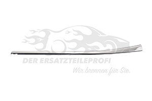 Dichtung für Türscheibe Citroen 98169032VV