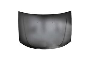 Motorhaube 651000987R