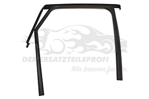 Fensterdichtsatz (Seitenscheibe) (NEX)