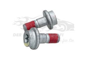 440548 Schraube für Bremssattel-Träger (VPE 2) Citroen