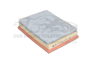 9813908880 Luftfilter Citroen