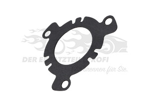 192724 Dichtung, Einspritzpumpe Citroen