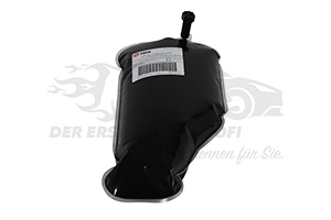 Partikelfilter Additiv Eolys Powerflex (Schlauch-Pack)