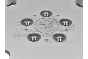 9606PX Radzierblende für Stahlfelgen Peugeot