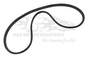 Türdichtung Renault 908300009R