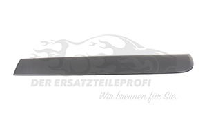 Zierleiste hinten links