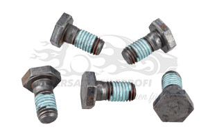 Schraube für Schwungrad Citroen 691489