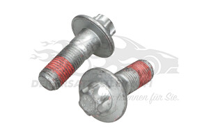 440546 Schraube für Bremssattel-Träger vorne (VPE 2) Citroen