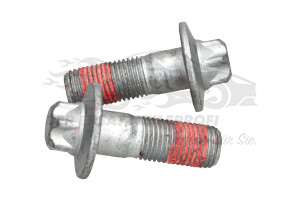 440546 Schraube für Bremssattel-Träger vorne (VPE 2) Citroen