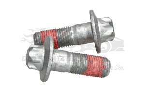 440546 Schraube für Bremssattel-Träger vorne (VPE 2) Citroen