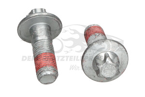 Schraube für Bremssattel Citroen 440546