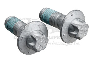 440559 Schraube für Bremssattel-Träger hinten (VPE 2) Citroen