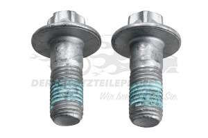 440559 Schraube für Bremssattel-Träger hinten (VPE 2) Citroen