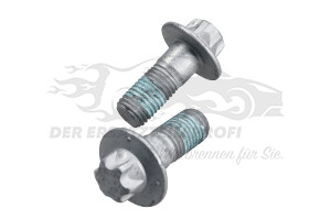 440559 Schraube für Bremssattel-Träger hinten (VPE 2) Citroen