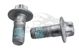 440559 Schraube für Bremssattel-Träger hinten (VPE 2) Citroen