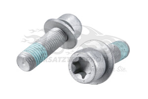 Schraube für Bremssattel-Träger hinten (VPE 2)
