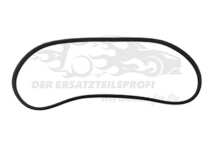 808330007R Türdichtung Vordertüren Renault