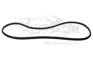 769240012R Türdichtung Hintertüren Renault