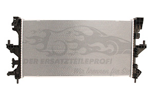 Wasserkühler 1629086780