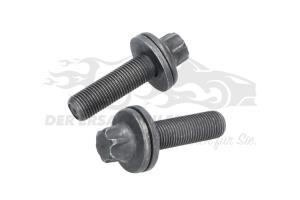 1608706680 Schraube, für Zahnräder Nockenwellen (VPE 2) Citroen