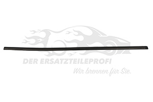 Fensterdichtung (Seitenscheibe) Fahrerseite