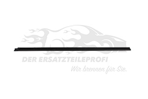 8200426005 Fensterdichtung (Seitenscheibe) Beifahrerseite Renault
