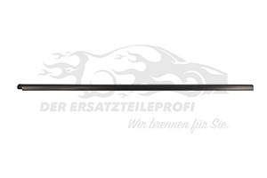 Fensterdichtung (Seitenscheibe) Beifahrerseite