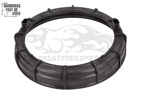 Halter für Kraftstoffpumpe Citroen 153130