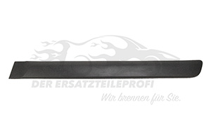 Zierleiste hinten links