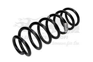 550205476R Fahrwerksfeder hinten Renault