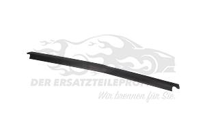 Fensterdichtung (Seitenscheibe) Beifahrerseite