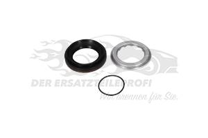 Differentialsimmerring (Satz)