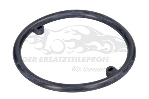 038117070A Dichtring Ölfiltergehäuse 