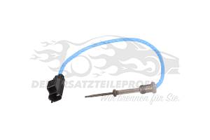 Abgastemperatursensor Katalysator