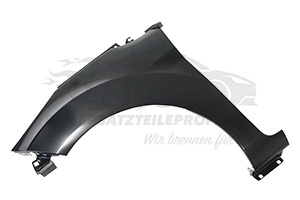 Kotflügel links