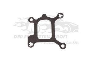 Dichtung Thermostat